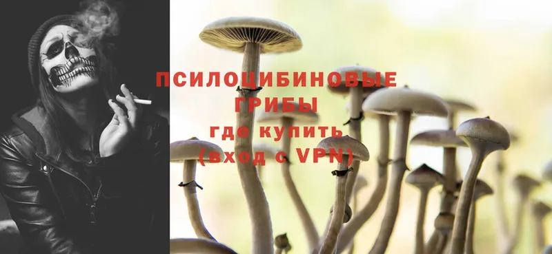 Галлюциногенные грибы Psilocybe  купить   МЕГА вход  Лениногорск 